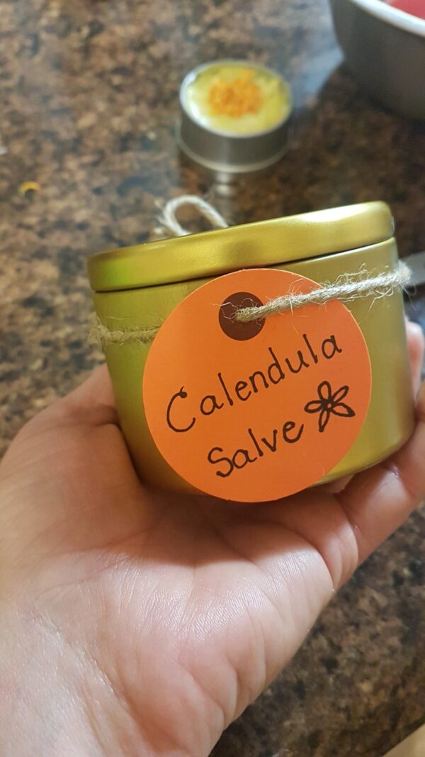 Calendula Salve