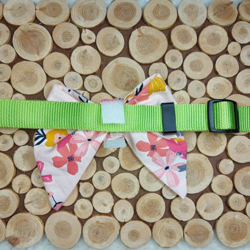 Sweet Shelly's Collar Bow for Dogs