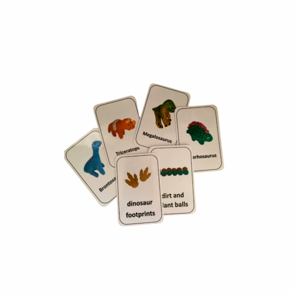 Dinosaur Sensory Play Set