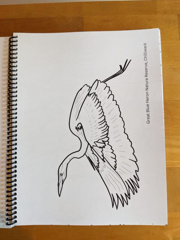 British Columbia: A Colouring Book for Adventurers