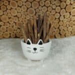 Silvervine Sticks (Better than Catnip !)