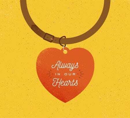 Always in our Hearts (Yellow) - Pet Sympathy Card