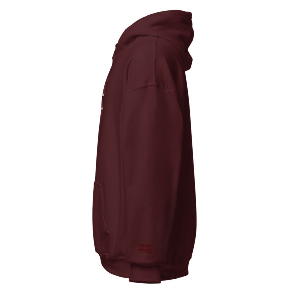 Mountain Skys Embroidered Maroon Hoodie