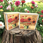 Cut Flower Garden Kit w/ Zinnia, Cosmo, and Sunflower seeds