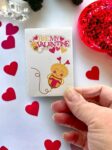 Seed Packages - Valentine's Day Gift for Kids - Includes Poppy Seeds