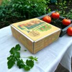 Heirloom Tomato Starter Kit: Grow Your Own Heritage Tomatoes