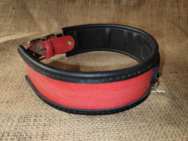 Hand made leather dog collar
