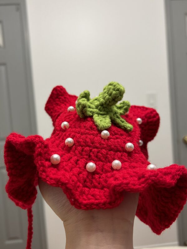 Handmade crochet strawberry Hat for cat and small dog cute style