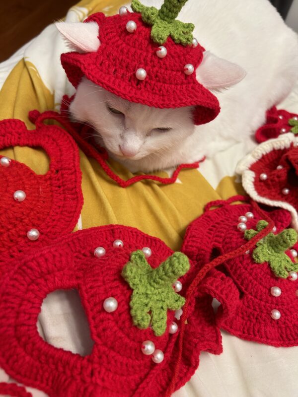 Handmade crochet strawberry Hat for cat and small dog cute style