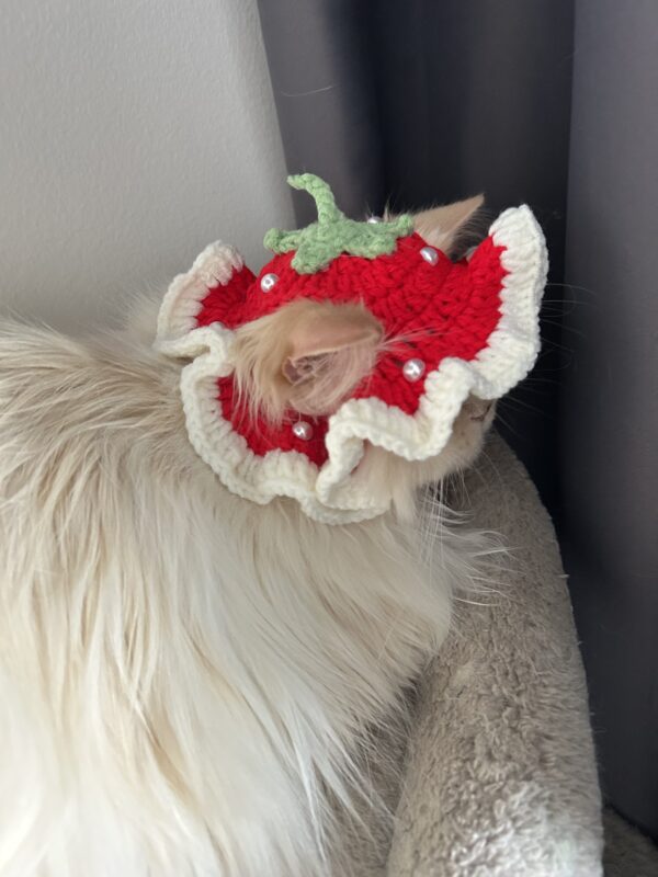 Handmade crochet strawberry Hat for cat and small dog cute style