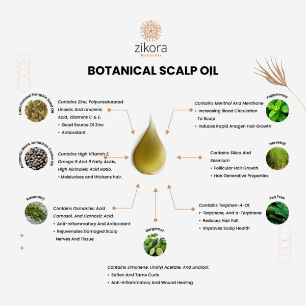 Botanical Scalp/Hair Oil (Natural DHT- Blocker & Anti-bacterial)