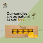 Box of 12 Beeswax Tealights
