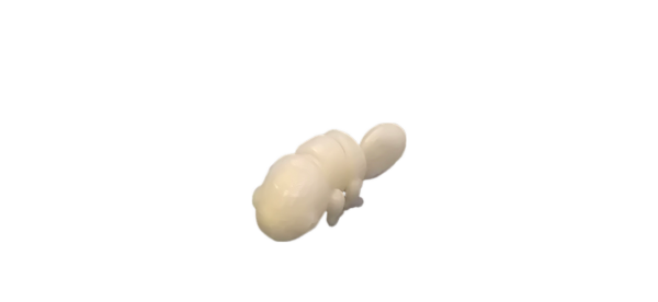 Cute Articulated Tiny Animals, Big Wonder! - 3D