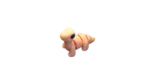 Cute Articulated Tiny Animals, Big Wonder! - 3D