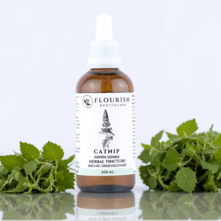 Catnip Herbal Tincture