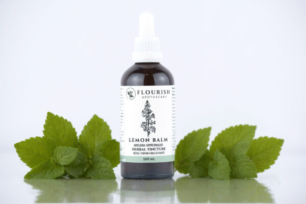 Lemon Balm Herbal Tincture