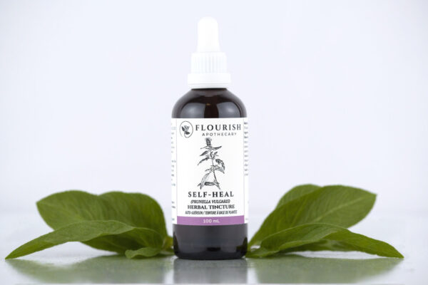 Self-Heal Herbal Tincture