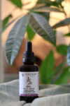 Self-Heal Herbal Tincture