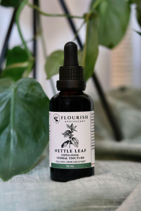 Nettle Leaf Herbal Tincture