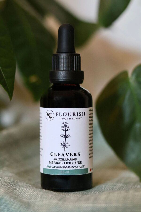 Cleavers Herbal Tincture