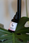 Wild Bergamot Herbal Tincture