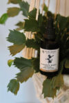 Burdock Root Herbal Tincture