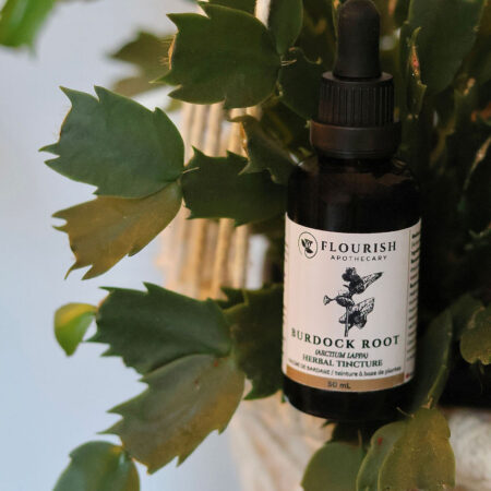 Burdock Root Organic Herbal Tincture made by Flourish Apothecary of Victoria, BC