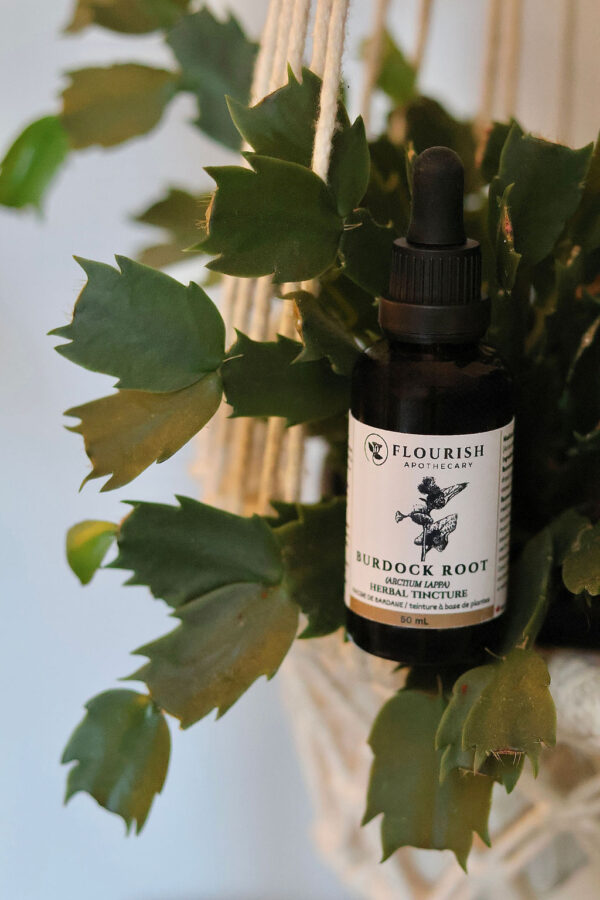 Burdock Root Herbal Tincture