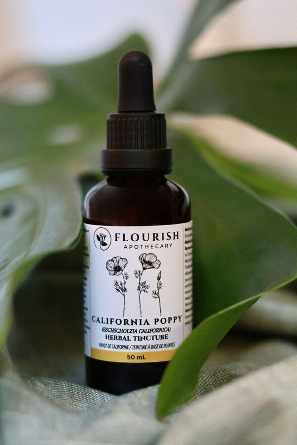 California Poppy Herbal Tincture