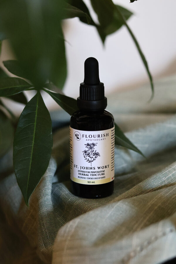St Johns Wort Herbal Tincture