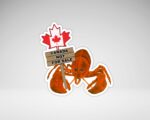 Canada Is Not For Sale Vinyl Sticker