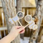 Cake Toppers
