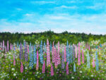Field of Lupines Print