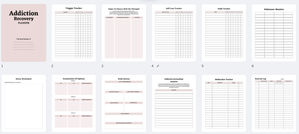 Addiction Recovery Planner- Digital Download