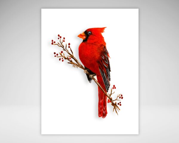 Cardinal Note Card