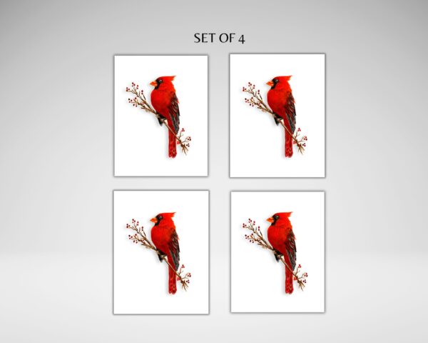 Cardinal Note Card