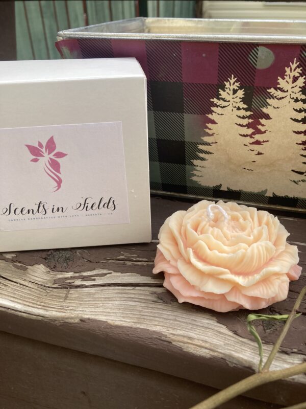 Island Flower Candle - Trio (by Scents in Fields)