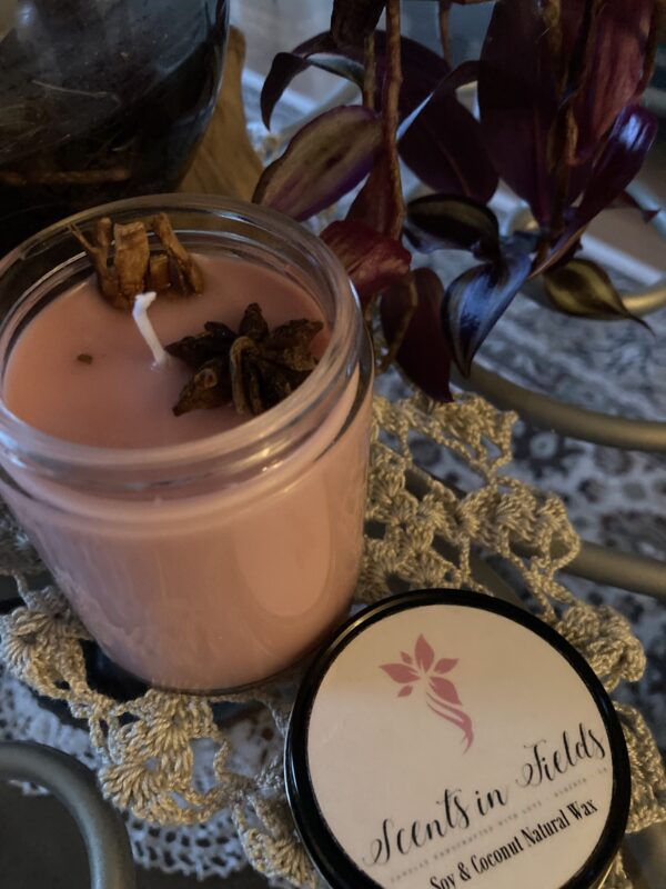 Cinnamon Jar Candle (by Scents in Fields)