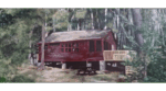Foaming Soaps- EXOTICALLY Scented plus Camp & Cottage Safe!