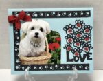 Pet Greeting Card