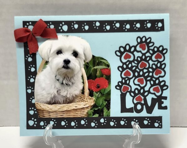 Pet Greeting Card