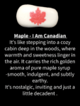 SOAP ~ VEGAN SLS & SLE Free Moisturizing Triple Butter INDULGENT Scents