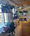 FREE SHIPPING Swivel Plant Rack - 1 to 4 shelfs Available - Swivel Display Rack & Plant Shelf