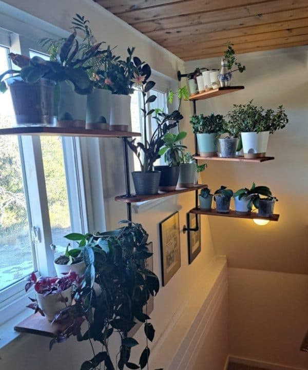 FREE SHIPPING Swivel Plant Rack - 1 to 4 shelfs Available - Swivel Display Rack & Plant Shelf