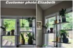 FREE SHIPPING Swivel Plant Rack - 1 to 4 shelfs Available - Swivel Display Rack & Plant Shelf