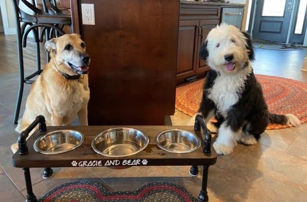 3 bowl dog bowl stand - raised dog bowl stand- Tall Dog bowl stand with stylish backsplash-Tall dog bowl stand