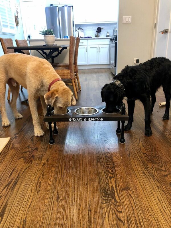 3 bowl dog bowl stand - raised dog bowl stand- Tall Dog bowl stand with stylish backsplash-Tall dog bowl stand