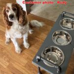 3 bowl dog bowl stand - raised dog bowl stand- Tall Dog bowl stand with stylish backsplash-Tall dog bowl stand