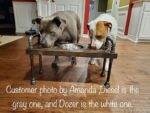 3 bowl dog bowl stand - raised dog bowl stand- Tall Dog bowl stand with stylish backsplash-Tall dog bowl stand