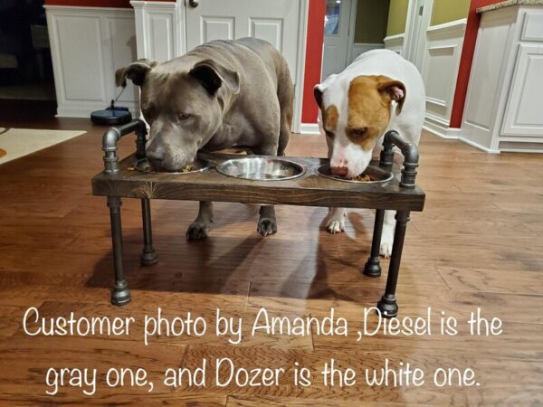 3 bowl dog bowl stand - raised dog bowl stand- Tall Dog bowl stand with stylish backsplash-Tall dog bowl stand